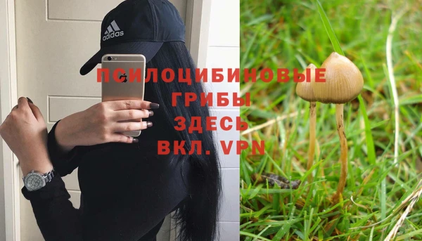 не бодяженный Нягань